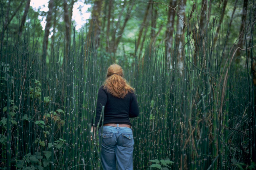 复古电影质感柯达克罗姆Kodachrome胶片颗粒纹理照片调色Lightroom预设 SDCOfilm – Kodak Kodachrome Lightroom Presets 插件预设 第4张-素材湾丨精选海外优质设计素材资源 复古电影质感柯达克罗姆Kodachrome胶片颗粒纹理照片调色Lightroom预设 SDCOfilm – Kodak Kodachrome Lightroom Presets 插件预设 sucaiwan.com