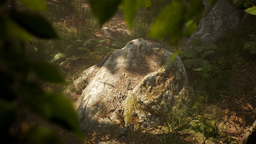 UE素材 虚拟引擎森林树木山地岩石3D模型 Unreal Engine – Leaf Tree Forest Biome , sucaiwan.com