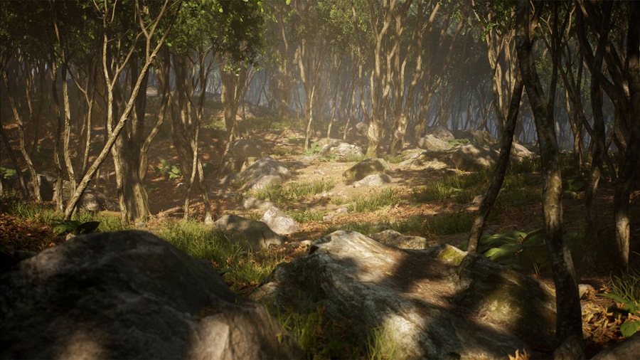 UE素材 虚拟引擎森林树木山地岩石3D模型 Unreal Engine – Leaf Tree Forest Biome , sucaiwan.com