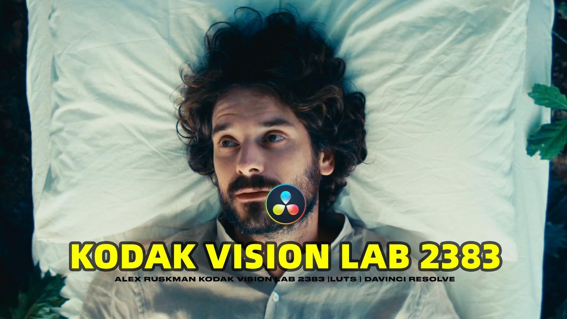 复古怀旧氛围柯达Vision 2383电影美学胶片模拟LUT调色预设 Kodak Vision 2383 LUTs Davinci Resolve , sucaiwan.com