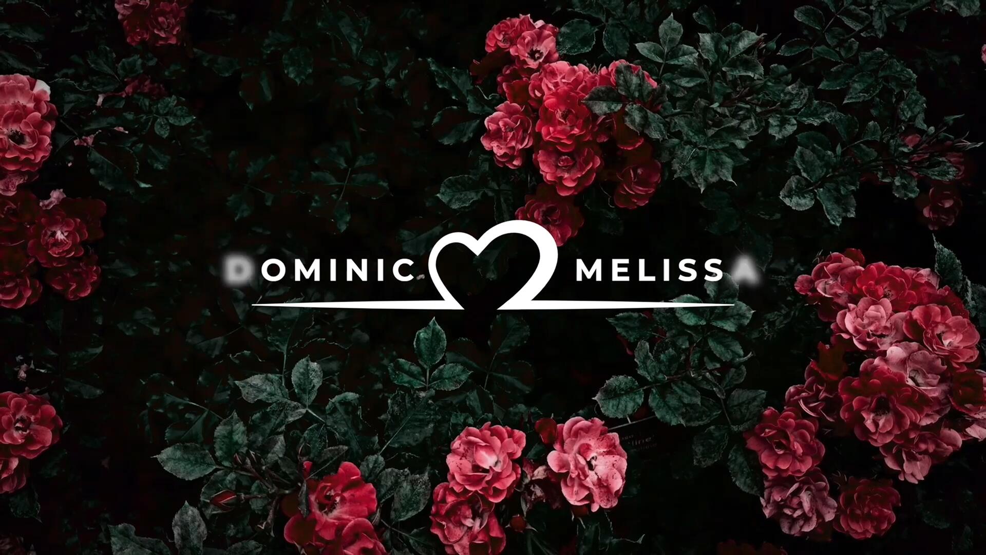 FCPX插件：浪漫婚礼情人节极简爱心形状文字标题 , sucaiwan.com