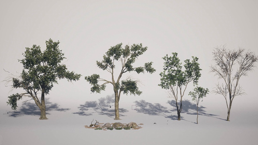 UE素材 虚拟引擎森林树木山地岩石3D模型 Unreal Engine – Leaf Tree Forest Biome , sucaiwan.com