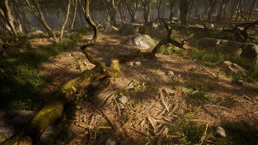 UE素材 虚拟引擎森林树木山地岩石3D模型 Unreal Engine – Leaf Tree Forest Biome , sucaiwan.com