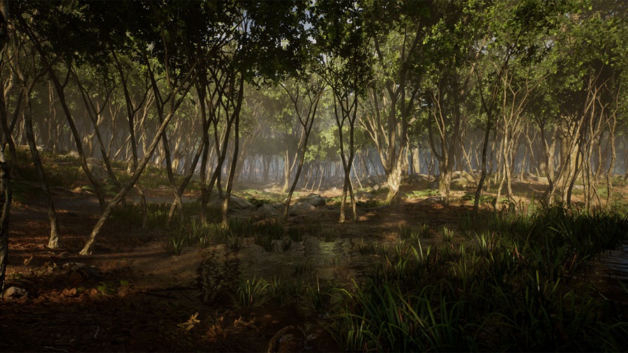 UE素材 虚拟引擎森林树木山地岩石3D模型 Unreal Engine – Leaf Tree Forest Biome , sucaiwan.com