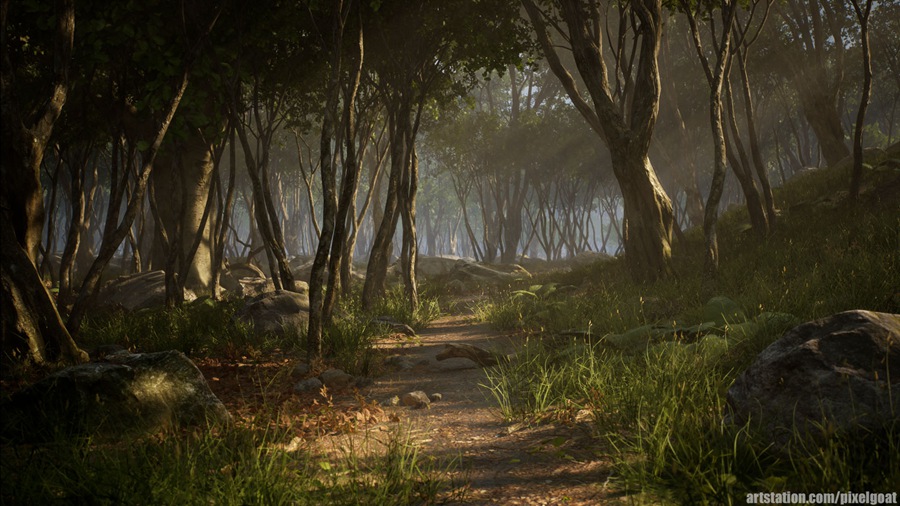 UE素材 虚拟引擎森林树木山地岩石3D模型 Unreal Engine – Leaf Tree Forest Biome , sucaiwan.com