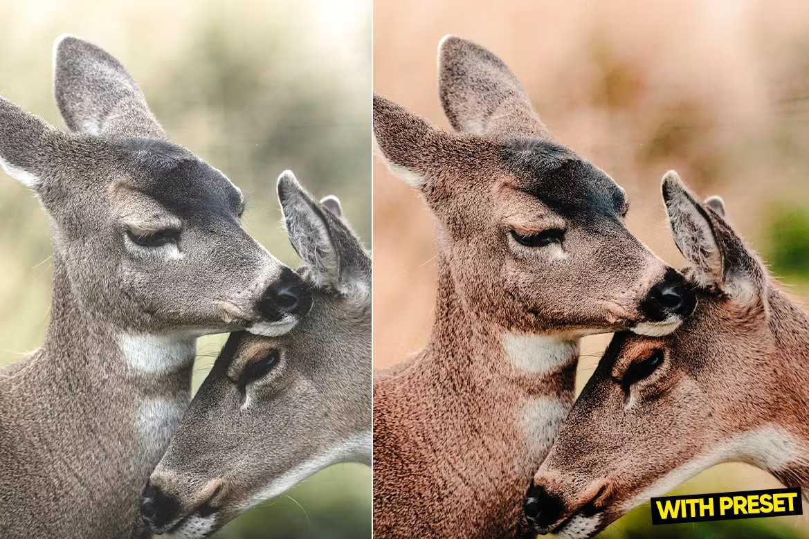 现代时尚暖色调旅行博主摄影照片调色Lightroom预设包 ARTA – Warm Breeze Presets for Lightroom 插件预设 第5张-素材湾丨精选海外优质设计素材资源 现代时尚暖色调旅行博主摄影照片调色Lightroom预设包 ARTA – Warm Breeze Presets for Lightroom 插件预设 sucaiwan.com