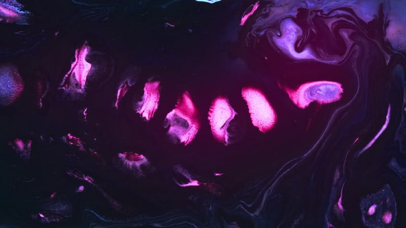 视频素材:10个抽象蒙太奇艺术油性混色流体液体4K视频素材 Oily Color Mix , 第2张-素材湾丨精选海外优质设计素材资源 视频素材:10个抽象蒙太奇艺术油性混色流体液体4K视频素材 Oily Color Mix , sucaiwan.com