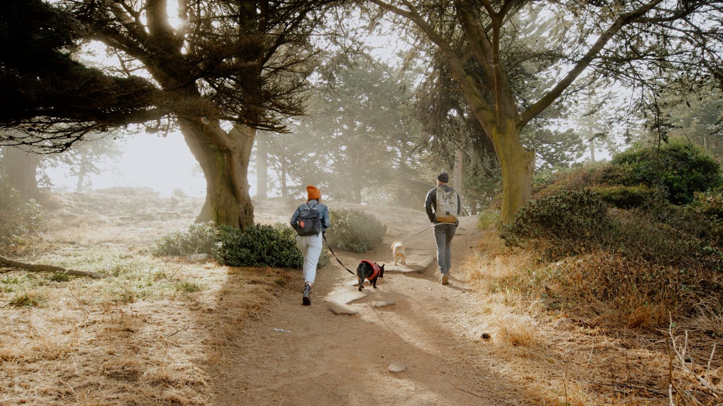 温暖色调蓝绿色棕色红色婚礼视频调色LUT预设 Gamut – Mango Street Lab – Stratus LUTS 插件预设 第6张-素材湾丨精选海外优质设计素材资源 温暖色调蓝绿色棕色红色婚礼视频调色LUT预设 Gamut – Mango Street Lab – Stratus LUTS 插件预设 sucaiwan.com