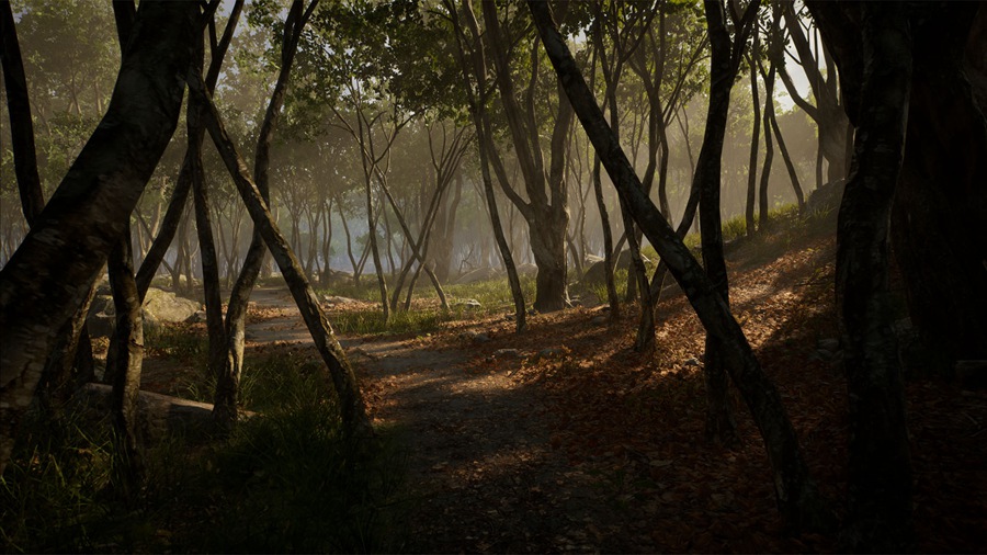 UE素材 虚拟引擎森林树木山地岩石3D模型 Unreal Engine – Leaf Tree Forest Biome , sucaiwan.com