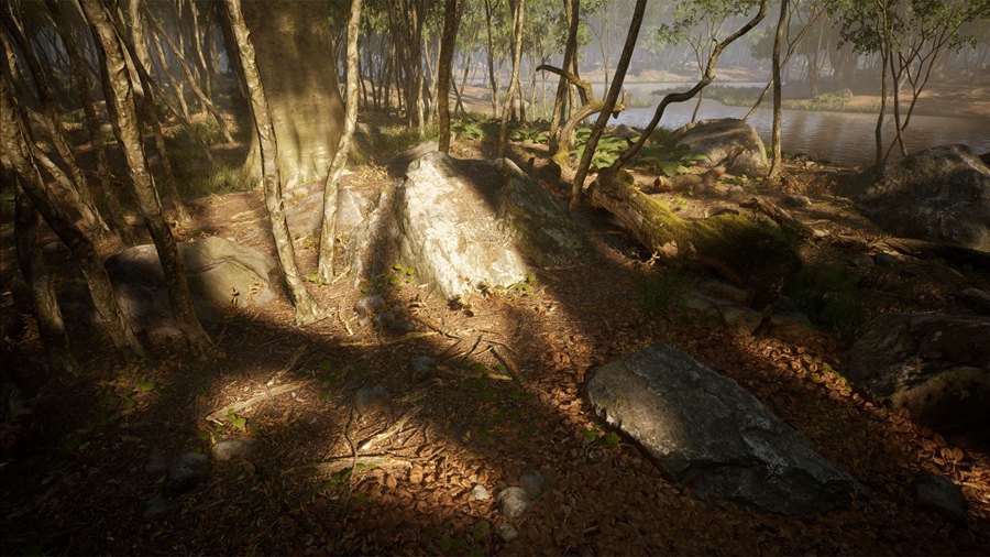 UE素材 虚拟引擎森林树木山地岩石3D模型 Unreal Engine – Leaf Tree Forest Biome , sucaiwan.com