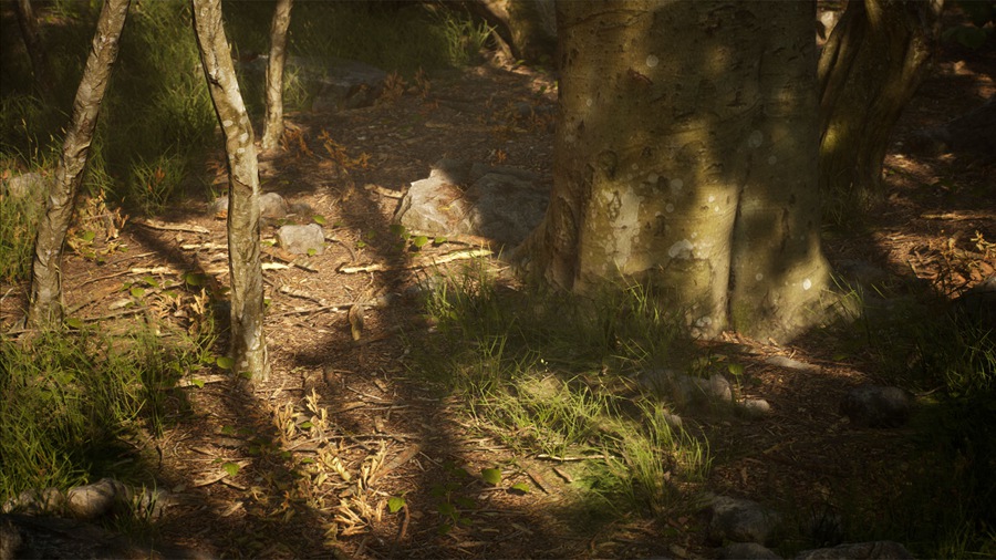 UE素材 虚拟引擎森林树木山地岩石3D模型 Unreal Engine – Leaf Tree Forest Biome , sucaiwan.com
