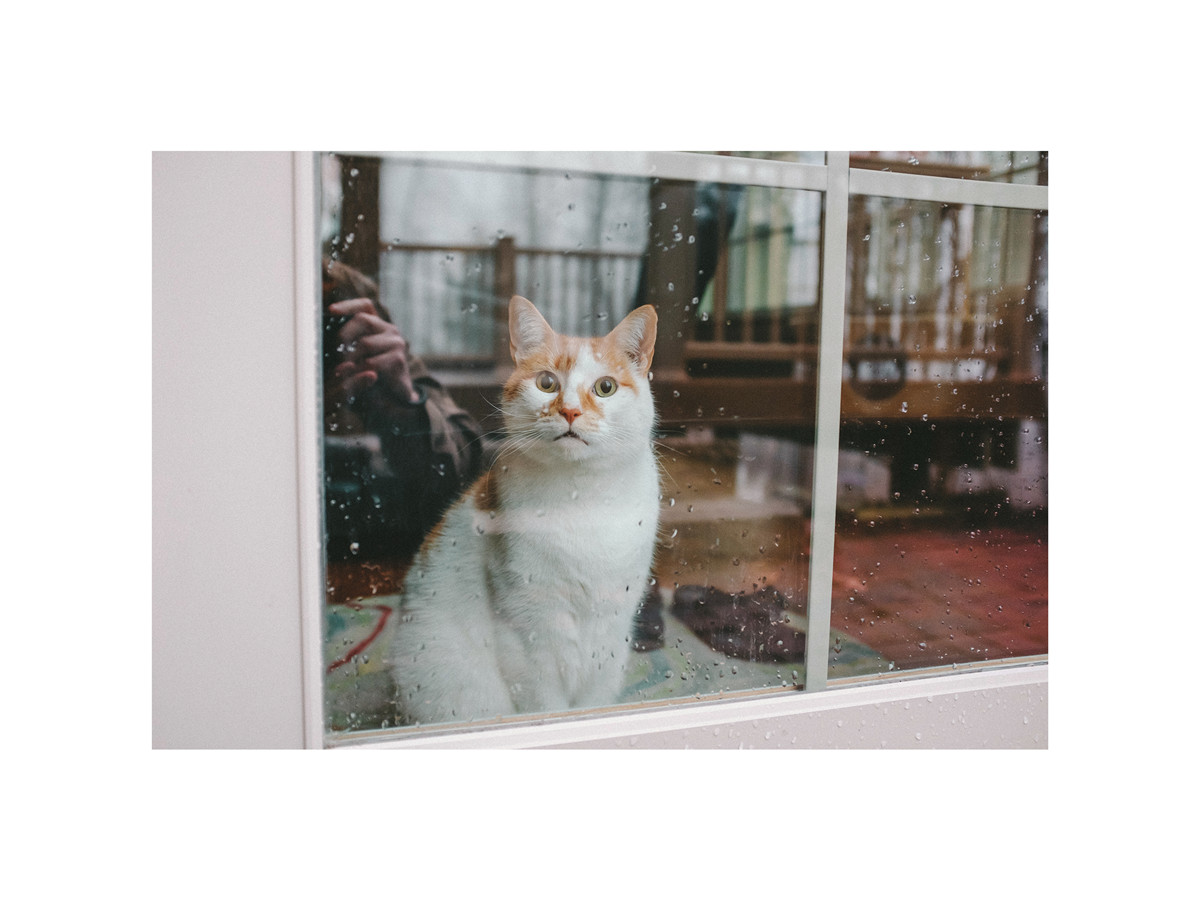 柯达富士标志性经典电影胶片模拟细腻颗粒纹理LR调色预设 , 第8张-素材湾丨精选海外优质设计素材资源 柯达富士标志性经典电影胶片模拟细腻颗粒纹理LR调色预设 , sucaiwan.com