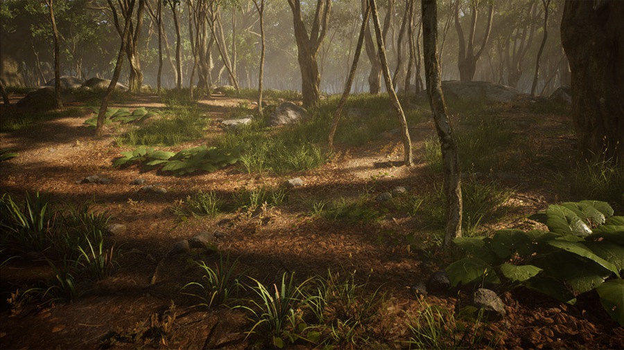 UE素材 虚拟引擎森林树木山地岩石3D模型 Unreal Engine – Leaf Tree Forest Biome , sucaiwan.com