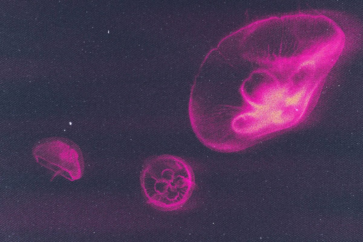 复古怀旧赛博朋克模糊噪点划痕效果照片图片修图PS特效样机模板 Cosmic Grit Photo Effect 插件预设 sucaiwan.com