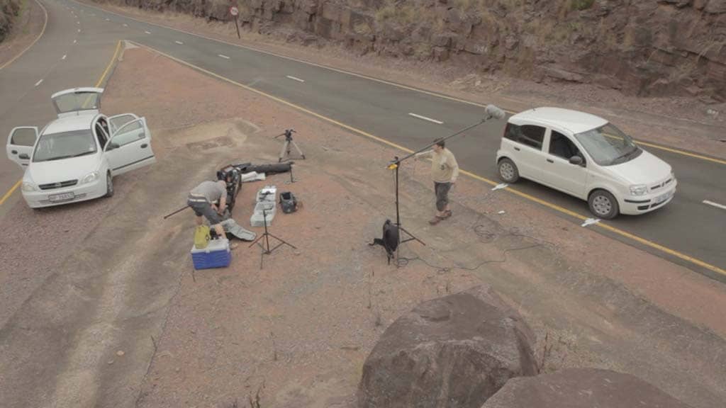 60多个日常VLOG必备高品质汽车点火驾车喇叭发动车门行李箱音效元素合集 Boom Library – Everyday Cars , 第13张-素材湾丨精选海外优质设计素材资源 60多个日常VLOG必备高品质汽车点火驾车喇叭发动车门行李箱音效元素合集 Boom Library – Everyday Cars , sucaiwan.com