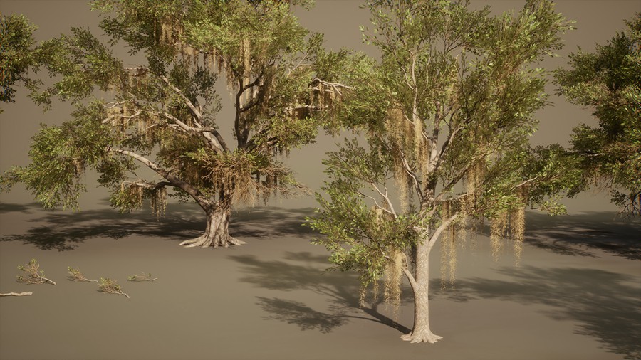 真实丛林树木灌木丛3d模型ue设计素材 Foliage VOL.13 – Southern Oak Trees 样机素材 第12张-素材湾丨精选海外优质设计素材资源 真实丛林树木灌木丛3d模型ue设计素材 Foliage VOL.13 – Southern Oak Trees 样机素材 sucaiwan.com