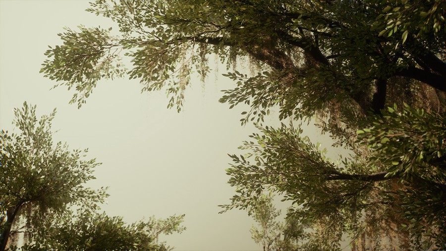 真实丛林树木灌木丛3d模型ue设计素材 Foliage VOL.13 – Southern Oak Trees 样机素材 第21张-素材湾丨精选海外优质设计素材资源 真实丛林树木灌木丛3d模型ue设计素材 Foliage VOL.13 – Southern Oak Trees 样机素材 sucaiwan.com