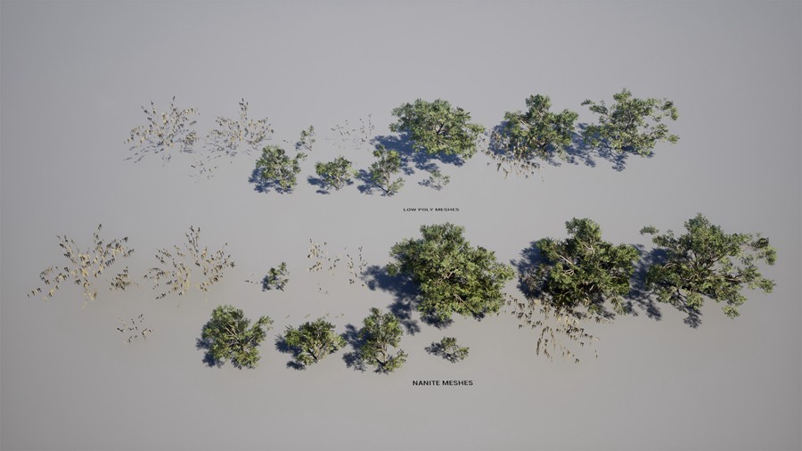 真实丛林树木灌木丛3d模型ue设计素材 Foliage VOL.13 – Southern Oak Trees 样机素材 第22张-素材湾丨精选海外优质设计素材资源 真实丛林树木灌木丛3d模型ue设计素材 Foliage VOL.13 – Southern Oak Trees 样机素材 sucaiwan.com