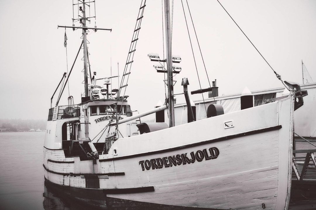 飞思预设 永恒优雅黑白色调婚礼人物肖像照片调色Capture One预设 Pixafoto: Capture One-B&W 插件预设 第8张-素材湾丨精选海外优质设计素材资源 飞思预设 永恒优雅黑白色调婚礼人物肖像照片调色Capture One预设 Pixafoto: Capture One-B&W 插件预设 sucaiwan.com