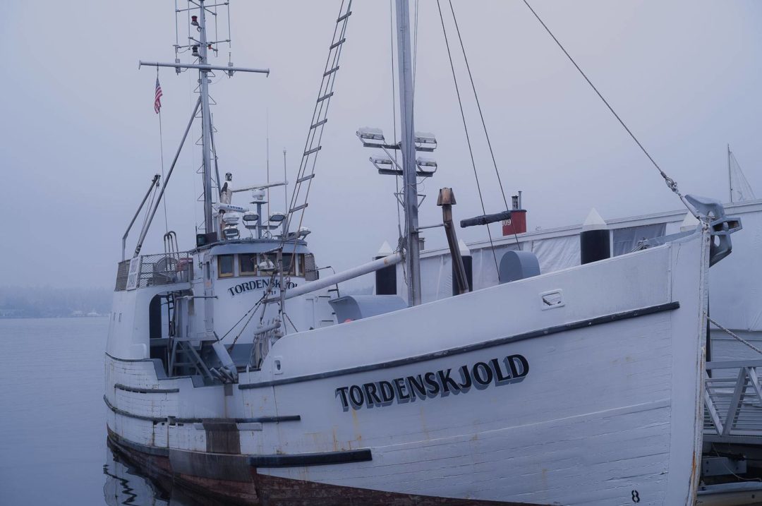 飞思预设 永恒优雅黑白色调婚礼人物肖像照片调色Capture One预设 Pixafoto: Capture One-B&W 插件预设 第9张-素材湾丨精选海外优质设计素材资源 飞思预设 永恒优雅黑白色调婚礼人物肖像照片调色Capture One预设 Pixafoto: Capture One-B&W 插件预设 sucaiwan.com