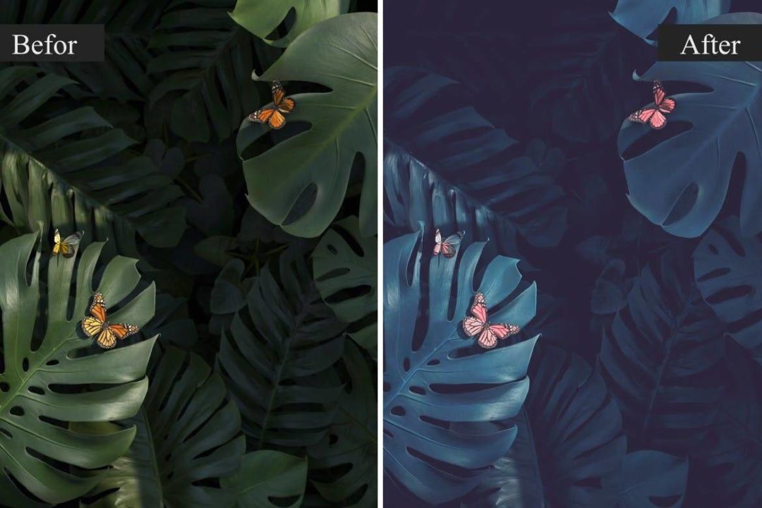 自然界天空景观摄影照片调色lightroom预设 Nature Pro Lightroom Presets 插件预设 sucaiwan.com