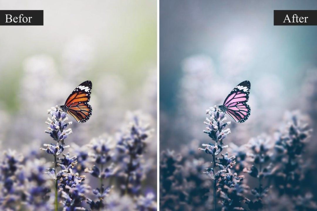 自然界天空景观摄影照片调色lightroom预设 Nature Pro Lightroom Presets 插件预设 sucaiwan.com