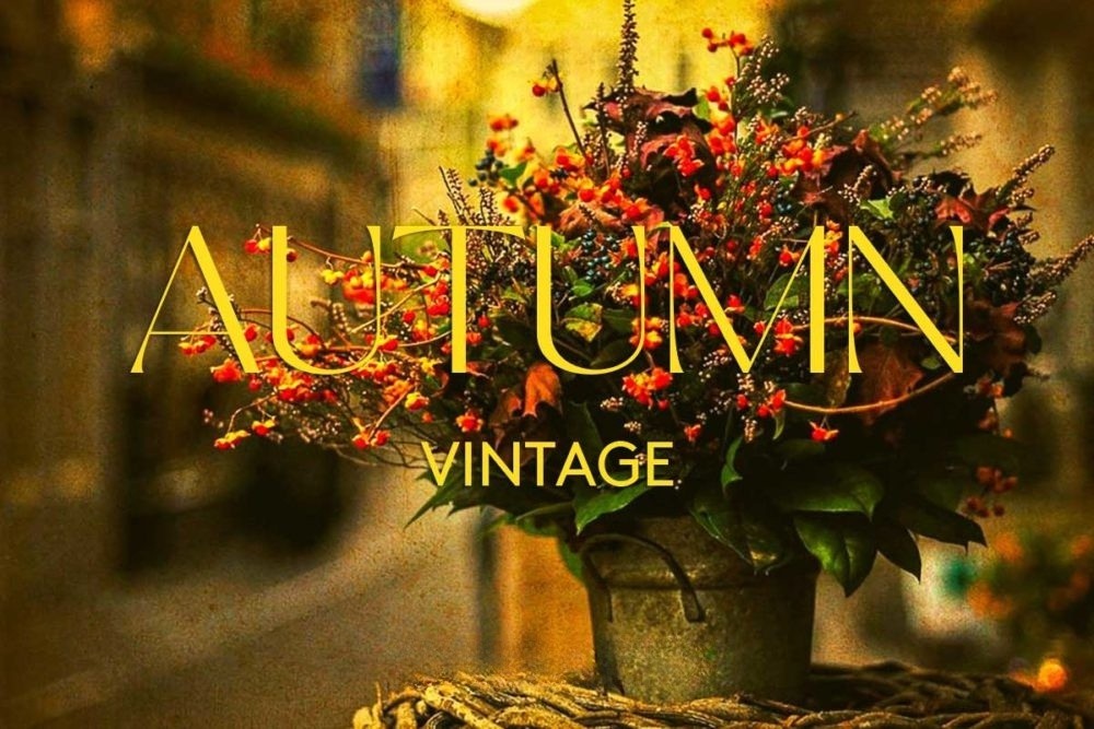 飞思预设 30款秋季美学复古暖色调橙色调旅行照片调色Capture One预设 Pixafoto: Capture One-Autumn Vintage 插件预设 第1张-素材湾丨精选海外优质设计素材资源 飞思预设 30款秋季美学复古暖色调橙色调旅行照片调色Capture One预设 Pixafoto: Capture One-Autumn Vintage 插件预设 sucaiwan.com