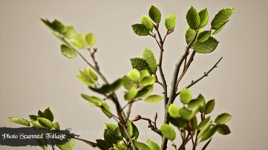 中世纪维京小镇城堡房屋3d模型ue设计素材 Modular Medieval Village 样机素材 第3张-素材湾丨精选海外优质设计素材资源 中世纪维京小镇城堡房屋3d模型ue设计素材 Modular Medieval Village 样机素材 sucaiwan.com