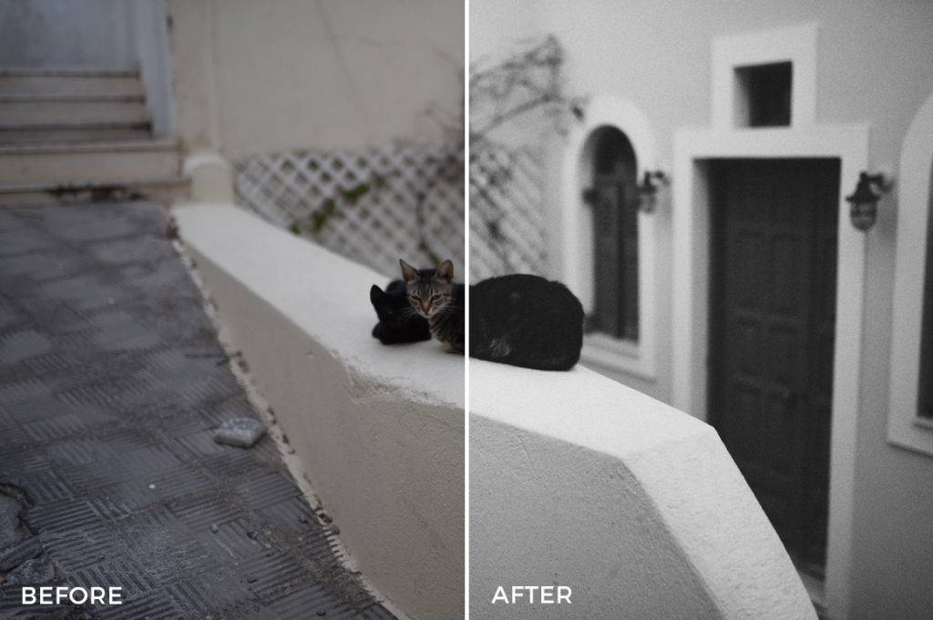 飞思预设 复古电影外观胶片模拟颗粒纹理质感照片调色Capture One预设 Film-Wash-Capture-One-Styles 插件预设 第6张-素材湾丨精选海外优质设计素材资源 飞思预设 复古电影外观胶片模拟颗粒纹理质感照片调色Capture One预设 Film-Wash-Capture-One-Styles 插件预设 sucaiwan.com