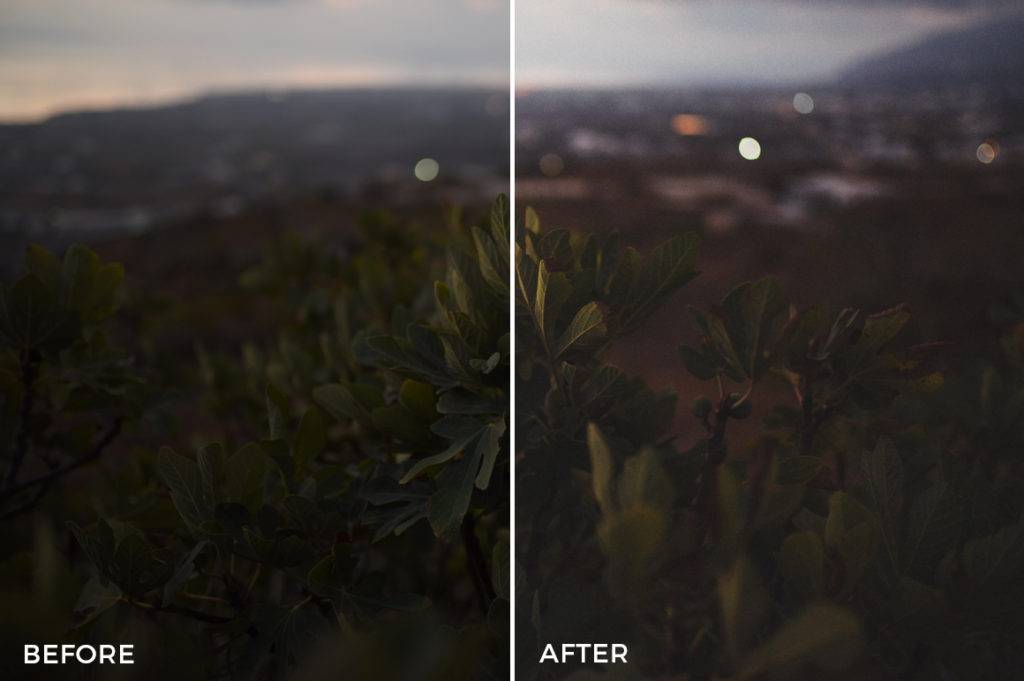 飞思预设 复古电影外观胶片模拟颗粒纹理质感照片调色Capture One预设 Film-Wash-Capture-One-Styles 插件预设 第8张-素材湾丨精选海外优质设计素材资源 飞思预设 复古电影外观胶片模拟颗粒纹理质感照片调色Capture One预设 Film-Wash-Capture-One-Styles 插件预设 sucaiwan.com