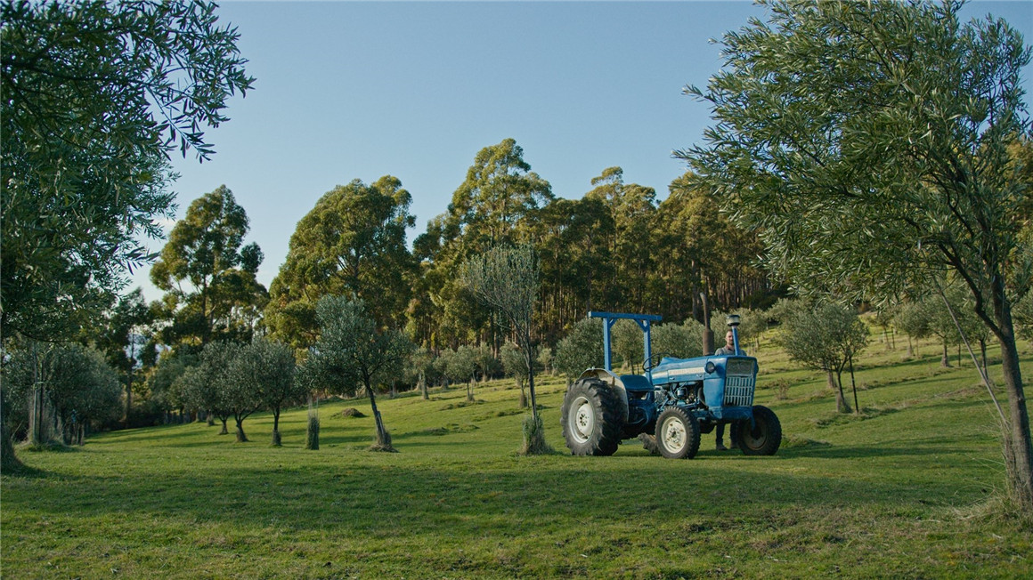 Juan Melara BMPCC 6K转阿莱Powergrade调色节点+LUT预设包 (完全兼容Gen5)P6K2ALEXA Powergrade And Luts v2 (Gen5) 插件预设 第7张-素材湾丨精选海外优质设计素材资源 Juan Melara BMPCC 6K转阿莱Powergrade调色节点+LUT预设包 (完全兼容Gen5)P6K2ALEXA Powergrade And Luts v2 (Gen5) 插件预设 sucaiwan.com