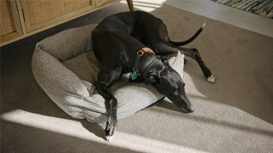 Juan Melara BMPCC 6K转阿莱Powergrade调色节点+LUT预设包 (完全兼容Gen5)P6K2ALEXA Powergrade And Luts v2 (Gen5) 插件预设 第10张-素材湾丨精选海外优质设计素材资源 Juan Melara BMPCC 6K转阿莱Powergrade调色节点+LUT预设包 (完全兼容Gen5)P6K2ALEXA Powergrade And Luts v2 (Gen5) 插件预设 sucaiwan.com