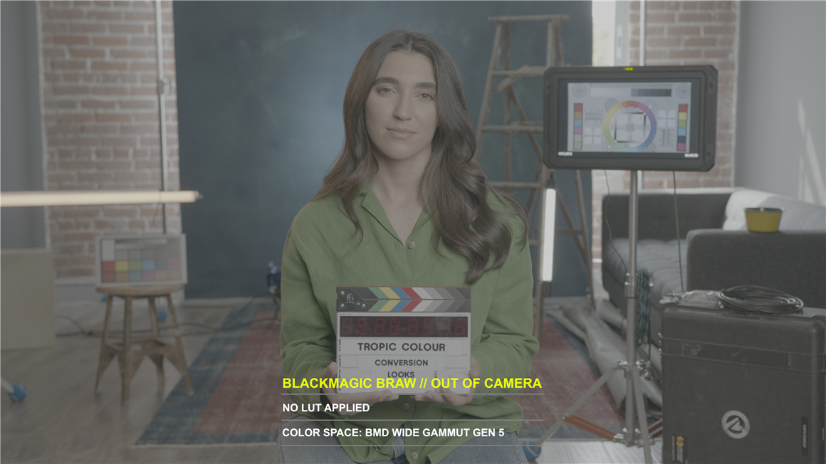 Tropic Colour 5个Black Magic转换模拟Rec709色彩LUT预设包 Black Magic BRAW Conversion LUTS 插件预设 第7张-素材湾丨精选海外优质设计素材资源 Tropic Colour 5个Black Magic转换模拟Rec709色彩LUT预设包 Black Magic BRAW Conversion LUTS 插件预设 sucaiwan.com