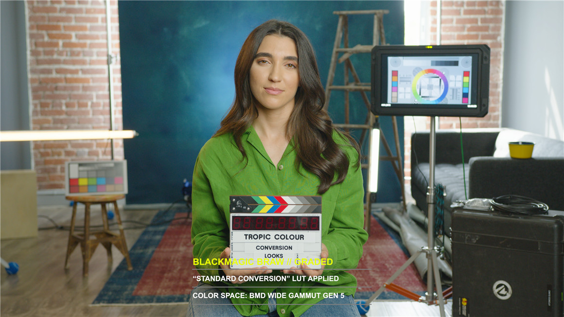 Tropic Colour 5个Black Magic转换模拟Rec709色彩LUT预设包 Black Magic BRAW Conversion LUTS 插件预设 第8张-素材湾丨精选海外优质设计素材资源 Tropic Colour 5个Black Magic转换模拟Rec709色彩LUT预设包 Black Magic BRAW Conversion LUTS 插件预设 sucaiwan.com