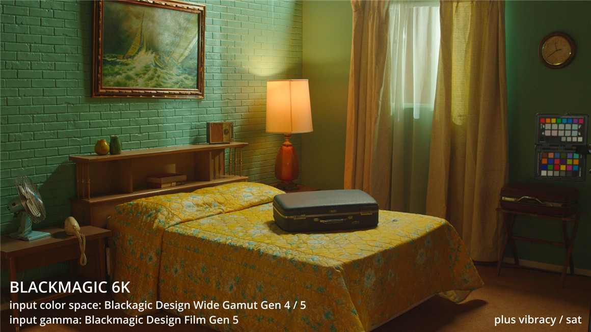 Tropic Colour 5个Black Magic转换模拟Rec709色彩LUT预设包 Black Magic BRAW Conversion LUTS 插件预设 第11张-素材湾丨精选海外优质设计素材资源 Tropic Colour 5个Black Magic转换模拟Rec709色彩LUT预设包 Black Magic BRAW Conversion LUTS 插件预设 sucaiwan.com