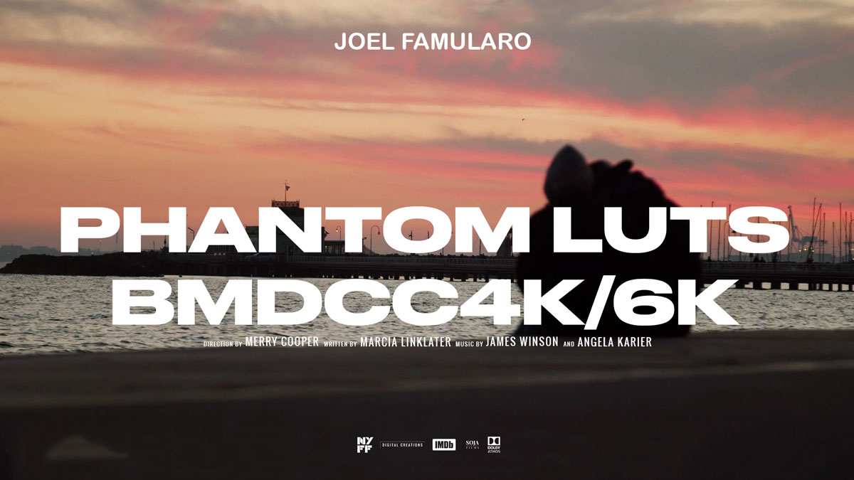 Phantom LUTs – BMPCC4K/6K仿阿莱ARRI真实胶片电影色彩模拟调色预设 Joel Famularo Phantom LUTs for BMDCC4K/6K 插件预设 第1张-素材湾丨精选海外优质设计素材资源 Phantom LUTs – BMPCC4K/6K仿阿莱ARRI真实胶片电影色彩模拟调色预设 Joel Famularo Phantom LUTs for BMDCC4K/6K 插件预设 sucaiwan.com