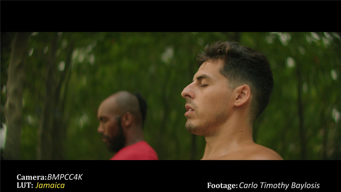 Phantom LUTs – BMPCC4K/6K仿阿莱ARRI真实胶片电影色彩模拟调色预设 Joel Famularo Phantom LUTs for BMDCC4K/6K 插件预设 第4张-素材湾丨精选海外优质设计素材资源 Phantom LUTs – BMPCC4K/6K仿阿莱ARRI真实胶片电影色彩模拟调色预设 Joel Famularo Phantom LUTs for BMDCC4K/6K 插件预设 sucaiwan.com