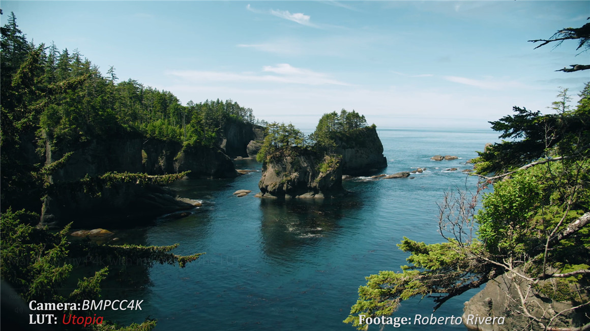 Phantom LUTs – BMPCC4K/6K仿阿莱ARRI真实胶片电影色彩模拟调色预设 Joel Famularo Phantom LUTs for BMDCC4K/6K 插件预设 第6张-素材湾丨精选海外优质设计素材资源 Phantom LUTs – BMPCC4K/6K仿阿莱ARRI真实胶片电影色彩模拟调色预设 Joel Famularo Phantom LUTs for BMDCC4K/6K 插件预设 sucaiwan.com