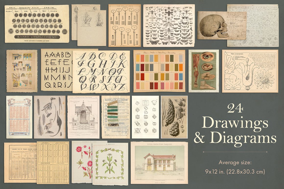 165款复古做旧牛皮纸贴纸张信纸信封相框扑克牌期刊封面地图航海风PNG背景肌理套装 Vintage Paper Ephemera Vol 2 图片素材 第11张-素材湾丨精选海外优质设计素材资源 165款复古做旧牛皮纸贴纸张信纸信封相框扑克牌期刊封面地图航海风PNG背景肌理套装 Vintage Paper Ephemera Vol 2 图片素材 sucaiwan.com