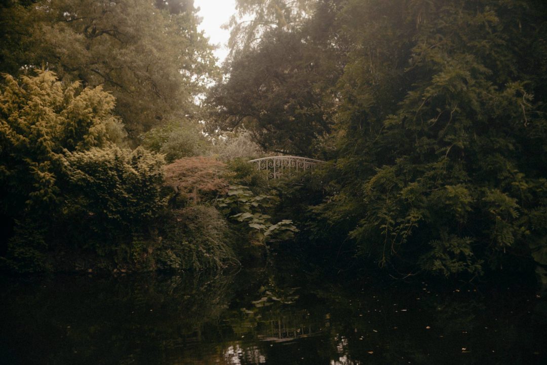 复古朦胧暖色调电影质感胶片颗粒效果模拟婚礼照片调色Lightroom预设包 Legacy Presets – Nostalgia 插件预设 第45张-素材湾丨精选海外优质设计素材资源 复古朦胧暖色调电影质感胶片颗粒效果模拟婚礼照片调色Lightroom预设包 Legacy Presets – Nostalgia 插件预设 sucaiwan.com