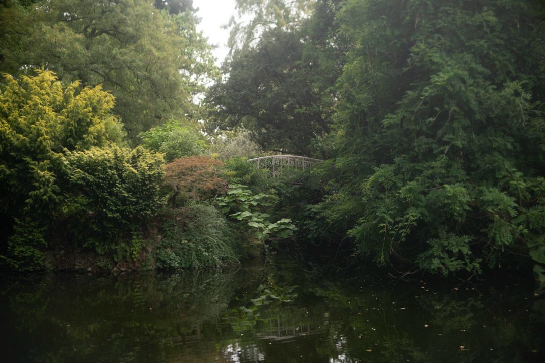 复古朦胧暖色调电影质感胶片颗粒效果模拟婚礼照片调色Lightroom预设包 Legacy Presets – Nostalgia 插件预设 第46张-素材湾丨精选海外优质设计素材资源 复古朦胧暖色调电影质感胶片颗粒效果模拟婚礼照片调色Lightroom预设包 Legacy Presets – Nostalgia 插件预设 sucaiwan.com