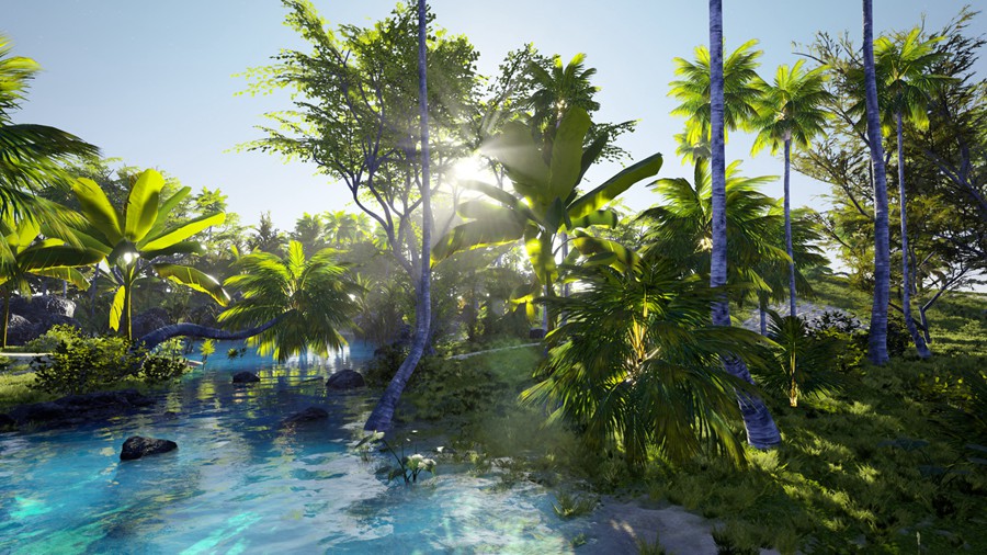 热带海岛毛里求斯椰子香蕉柚子树岩石3d模型ue设计素材 Unreal Engine – 3D-Scanned, Photo-Realistic Mauritius Asset Pack 样机素材 第2张-素材湾丨精选海外优质设计素材资源 热带海岛毛里求斯椰子香蕉柚子树岩石3d模型ue设计素材 Unreal Engine – 3D-Scanned, Photo-Realistic Mauritius Asset Pack 样机素材 sucaiwan.com