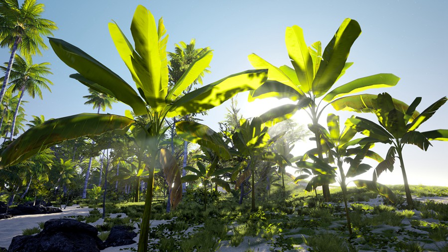 热带海岛毛里求斯椰子香蕉柚子树岩石3d模型ue设计素材 Unreal Engine – 3D-Scanned, Photo-Realistic Mauritius Asset Pack 样机素材 第6张-素材湾丨精选海外优质设计素材资源 热带海岛毛里求斯椰子香蕉柚子树岩石3d模型ue设计素材 Unreal Engine – 3D-Scanned, Photo-Realistic Mauritius Asset Pack 样机素材 sucaiwan.com