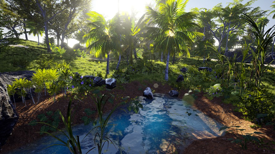 热带海岛毛里求斯椰子香蕉柚子树岩石3d模型ue设计素材 Unreal Engine – 3D-Scanned, Photo-Realistic Mauritius Asset Pack 样机素材 第8张-素材湾丨精选海外优质设计素材资源 热带海岛毛里求斯椰子香蕉柚子树岩石3d模型ue设计素材 Unreal Engine – 3D-Scanned, Photo-Realistic Mauritius Asset Pack 样机素材 sucaiwan.com