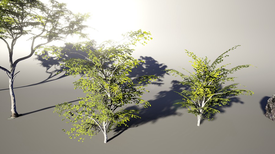 热带海岛毛里求斯椰子香蕉柚子树岩石3d模型ue设计素材 Unreal Engine – 3D-Scanned, Photo-Realistic Mauritius Asset Pack 样机素材 第10张-素材湾丨精选海外优质设计素材资源 热带海岛毛里求斯椰子香蕉柚子树岩石3d模型ue设计素材 Unreal Engine – 3D-Scanned, Photo-Realistic Mauritius Asset Pack 样机素材 sucaiwan.com