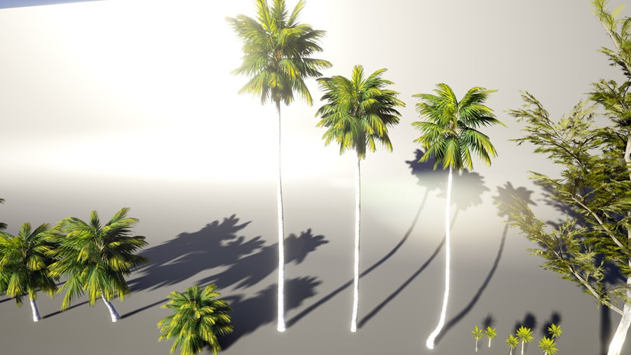 热带海岛毛里求斯椰子香蕉柚子树岩石3d模型ue设计素材 Unreal Engine – 3D-Scanned, Photo-Realistic Mauritius Asset Pack 样机素材 第14张-素材湾丨精选海外优质设计素材资源 热带海岛毛里求斯椰子香蕉柚子树岩石3d模型ue设计素材 Unreal Engine – 3D-Scanned, Photo-Realistic Mauritius Asset Pack 样机素材 sucaiwan.com
