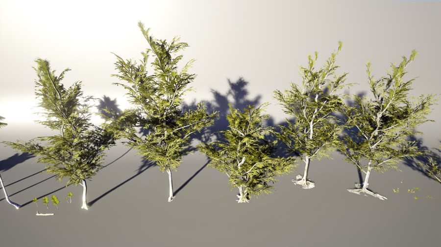 热带海岛毛里求斯椰子香蕉柚子树岩石3d模型ue设计素材 Unreal Engine – 3D-Scanned, Photo-Realistic Mauritius Asset Pack 样机素材 第16张-素材湾丨精选海外优质设计素材资源 热带海岛毛里求斯椰子香蕉柚子树岩石3d模型ue设计素材 Unreal Engine – 3D-Scanned, Photo-Realistic Mauritius Asset Pack 样机素材 sucaiwan.com