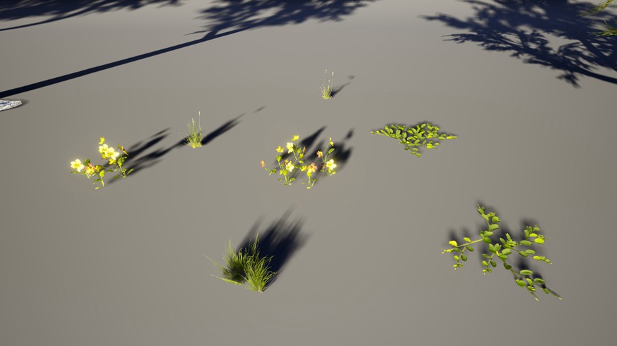 热带海岛毛里求斯椰子香蕉柚子树岩石3d模型ue设计素材 Unreal Engine – 3D-Scanned, Photo-Realistic Mauritius Asset Pack 样机素材 第17张-素材湾丨精选海外优质设计素材资源 热带海岛毛里求斯椰子香蕉柚子树岩石3d模型ue设计素材 Unreal Engine – 3D-Scanned, Photo-Realistic Mauritius Asset Pack 样机素材 sucaiwan.com