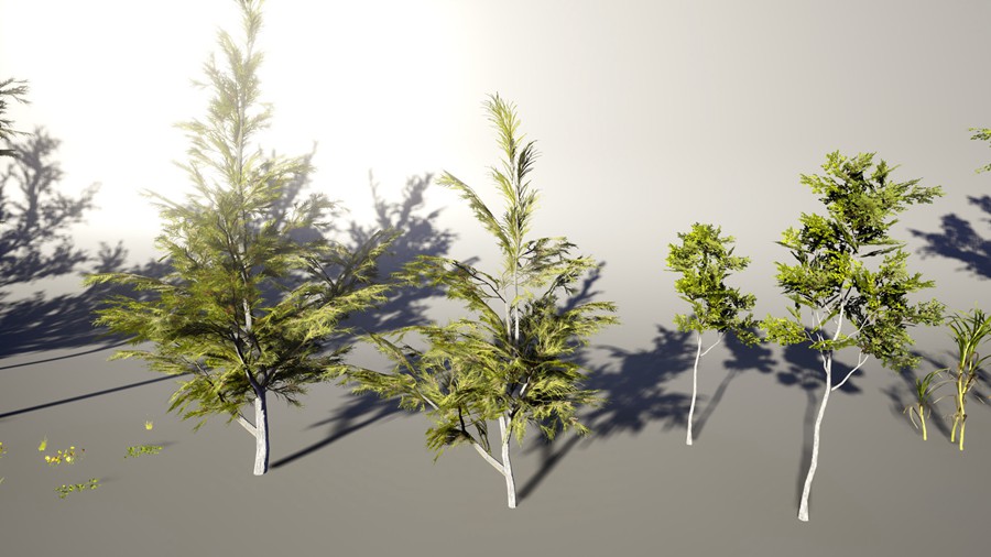 热带海岛毛里求斯椰子香蕉柚子树岩石3d模型ue设计素材 Unreal Engine – 3D-Scanned, Photo-Realistic Mauritius Asset Pack 样机素材 第18张-素材湾丨精选海外优质设计素材资源 热带海岛毛里求斯椰子香蕉柚子树岩石3d模型ue设计素材 Unreal Engine – 3D-Scanned, Photo-Realistic Mauritius Asset Pack 样机素材 sucaiwan.com