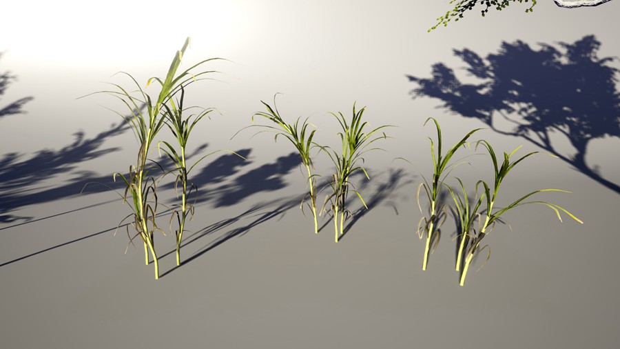 热带海岛毛里求斯椰子香蕉柚子树岩石3d模型ue设计素材 Unreal Engine – 3D-Scanned, Photo-Realistic Mauritius Asset Pack 样机素材 第19张-素材湾丨精选海外优质设计素材资源 热带海岛毛里求斯椰子香蕉柚子树岩石3d模型ue设计素材 Unreal Engine – 3D-Scanned, Photo-Realistic Mauritius Asset Pack 样机素材 sucaiwan.com